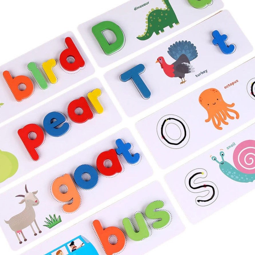Montessori Spelling, Writing & Vocabulary Game