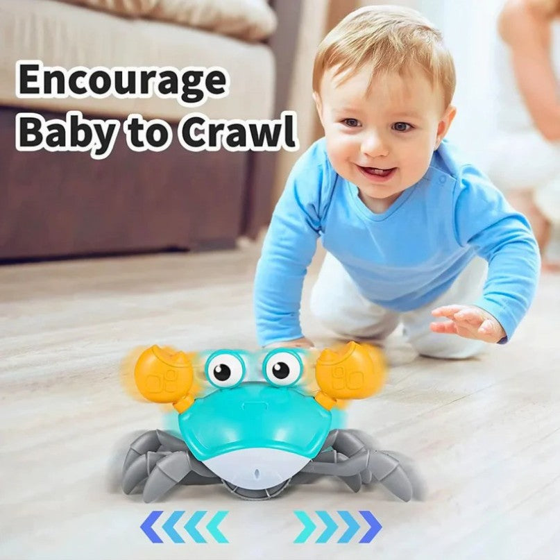 My Crawling Crab Toy