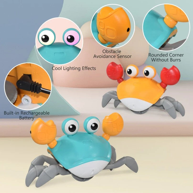My Crawling Crab Toy