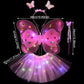 Butterfly Light-Up Princess Costume - Ages 2 to 6 Years