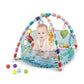 Chai Baby Activity Gym & Ball Pits