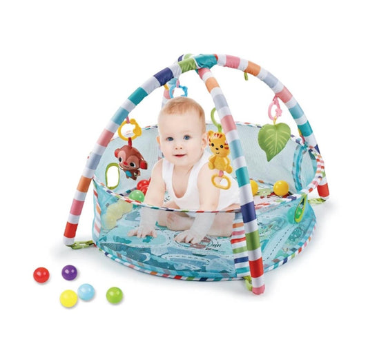 Chai Baby Activity Gym & Ball Pits