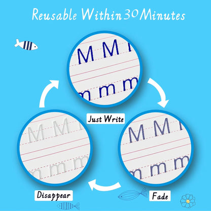 Reusable Pre-School Practice Workbook Series - Set of 5